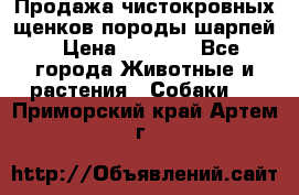 Продажа чистокровных щенков породы шарпей › Цена ­ 8 000 - Все города Животные и растения » Собаки   . Приморский край,Артем г.